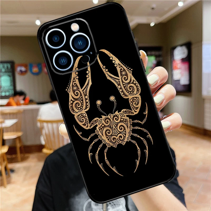 Zodiac Signs Case For iPhone 16 15 11 12 13 14 Pro Max XS XR X 7 8 Plus 12 13 Mini Soft Cover