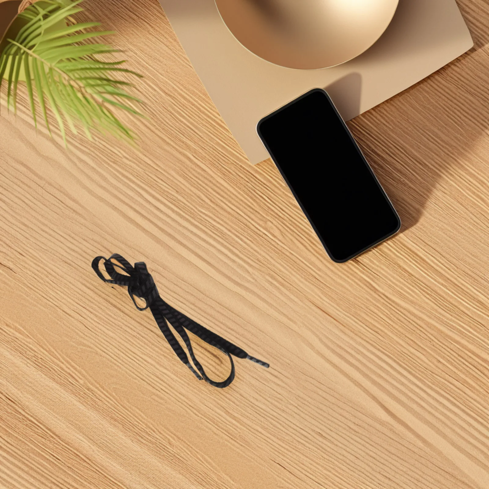 Рисунок 3 - 2 пары светоотражающих шнурков