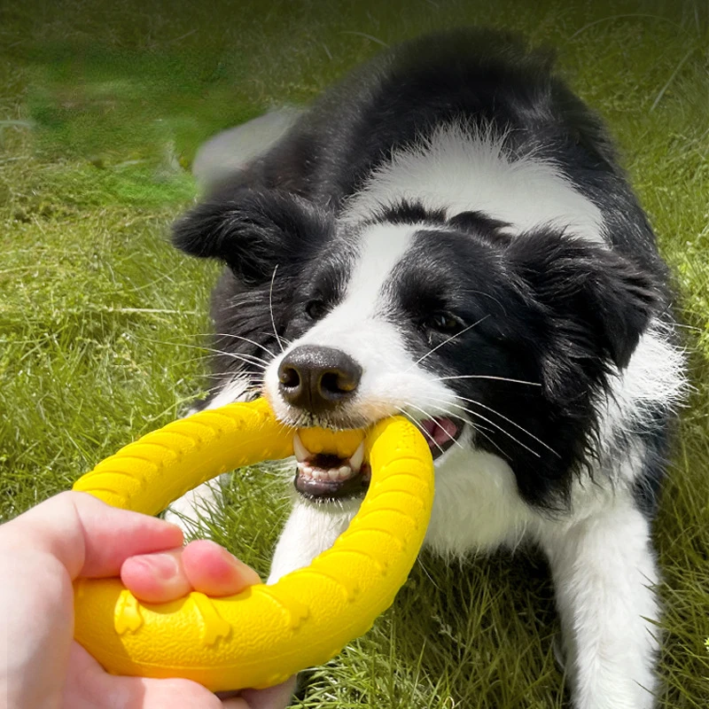 Dog Toys Pet Flying Discs Training Ring Puller Anti-Bite Floating Interactive Supplies Dog Flying Disk Toys Aggressive Chewing ﻿