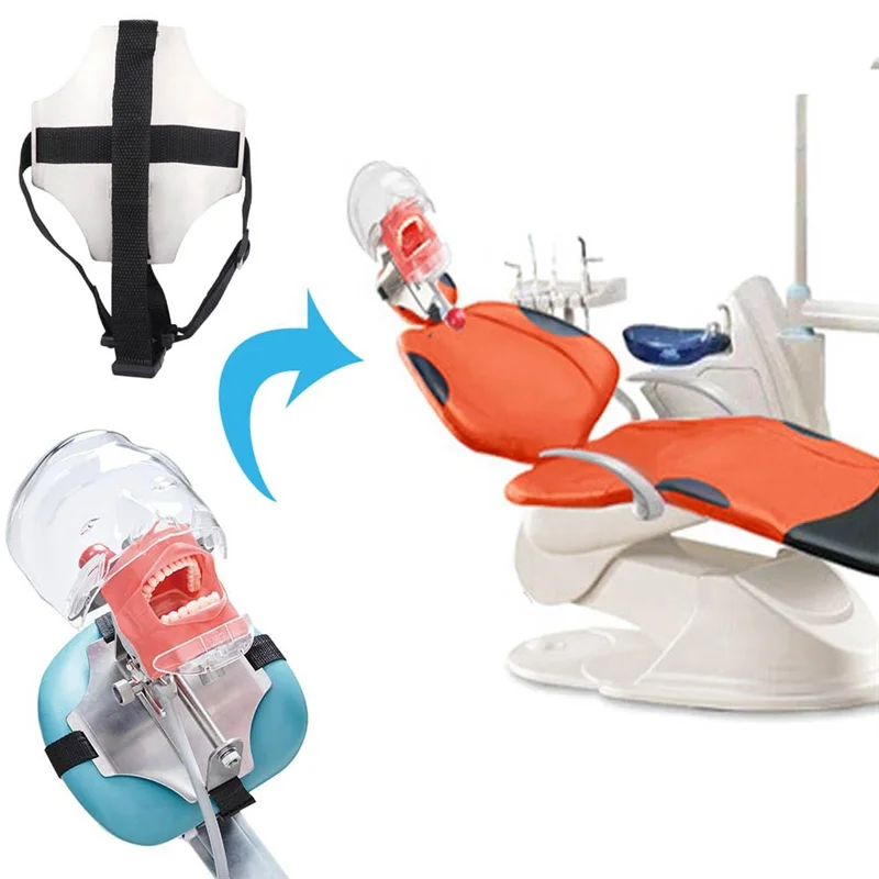 

ABUU- Simulator Mannequin-Head, Teaching-Head Model Fix On Chair With Removable Teeth, Typodont Teeth Model