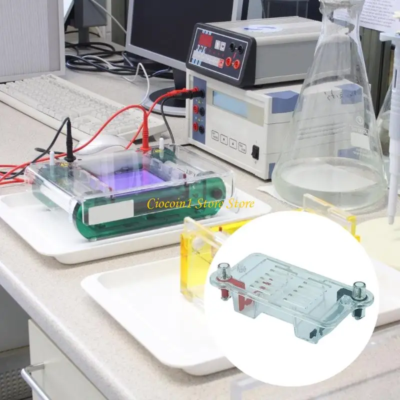 Lehrgerät für Elektrophorese, Biologie-Labor, Lehrmittel für Gel-Separations-Experimente, Schul-Labore – Detail 2