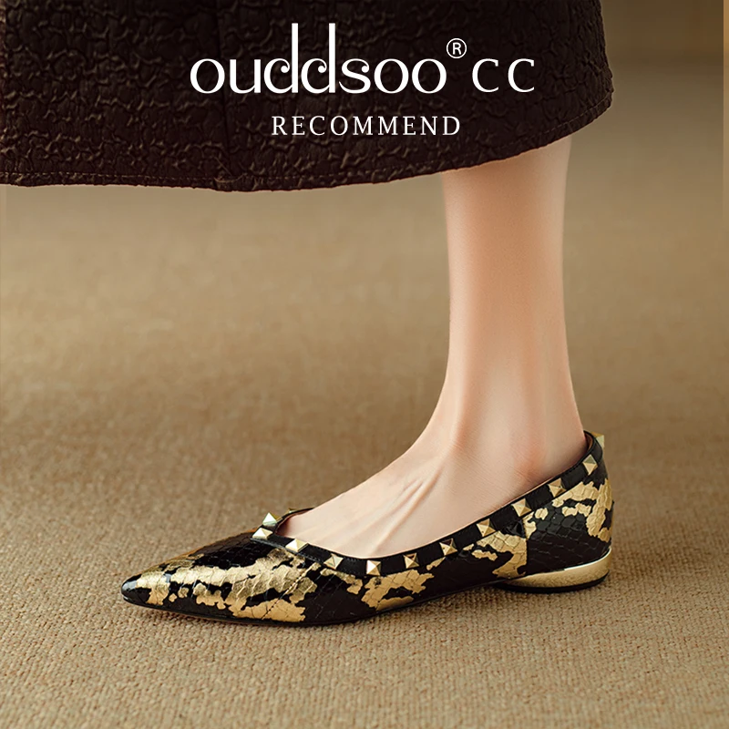 Ods Vintage Metal Clasp Pointed  Pumps Women Fashion 2025 Spring Autumn New Shoes for Women Leopard Print  Low Heels Woman Shoes