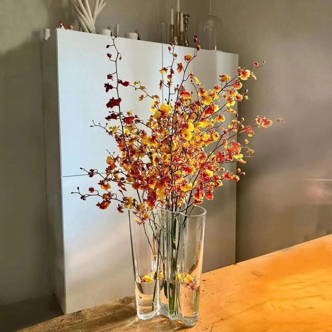 Ins Style Glass Vase Living Room Dried Flowers Glass Transparent Dill Home Decoration Accessories Wide Mouth Flower Vases