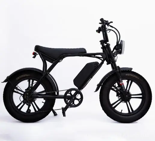 H20pro Electric Bicycle 1000W motor 48V 30AH battery Long endurance 55km/h Electric bike 20 inch tire off road riding e bike