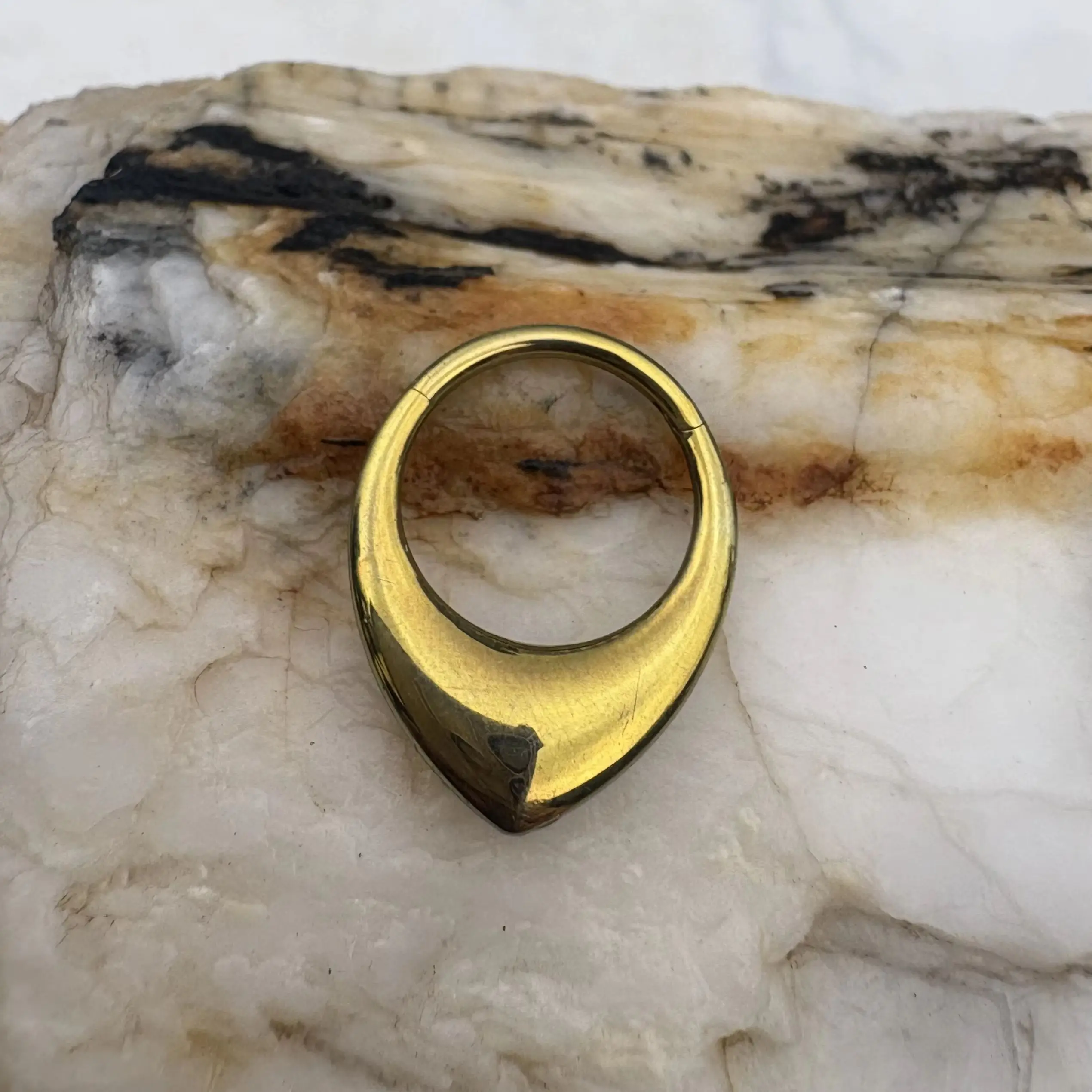 ASTM F13616G Implant Grade Titanium Hinged Segment Ring Clicker for Nose Daith Septum Earring Piercing Body Jewelry