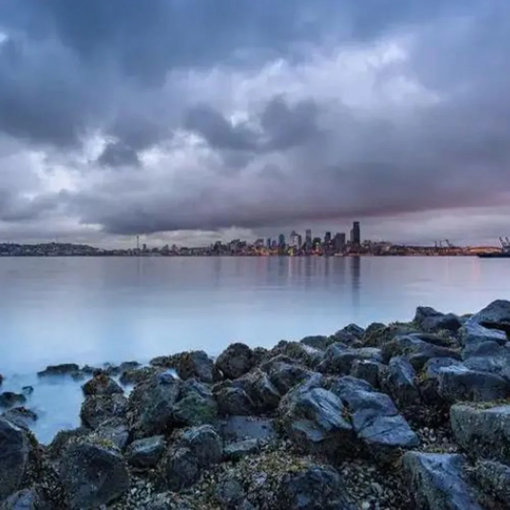 

100% Original Ink Sucking Pump Ink Pump Assembly for Epson 7700 9700 7890 9890 7900 9900 printer Cleaning kit Cleaning unit