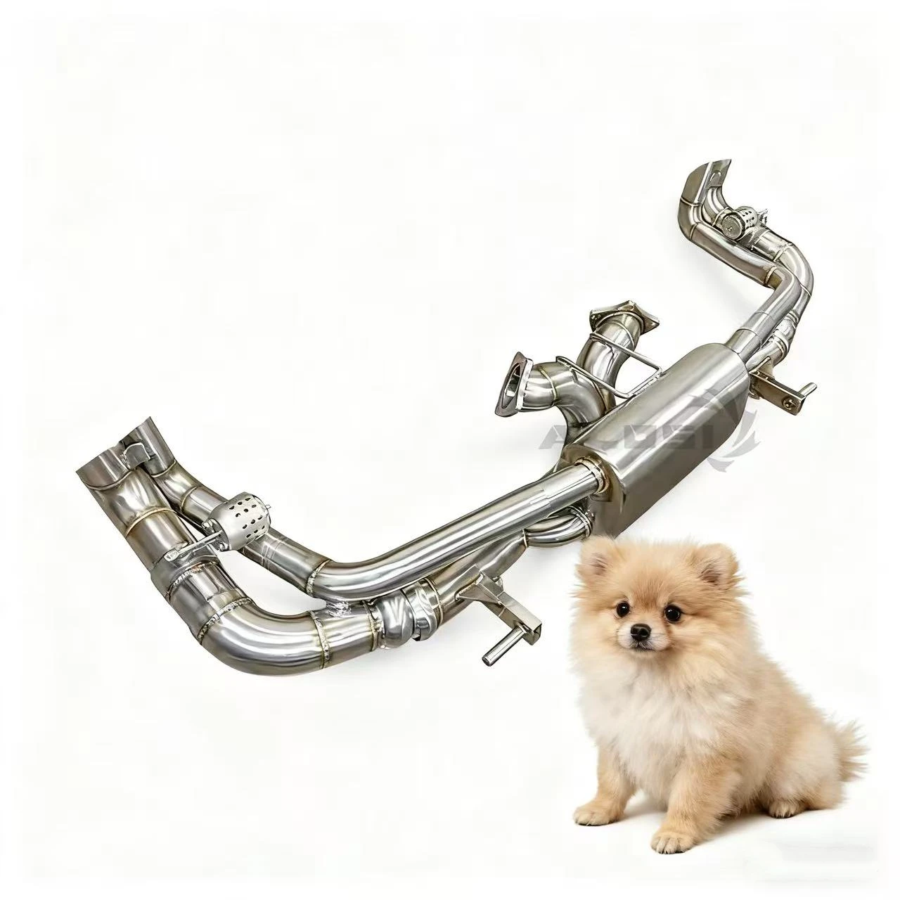 

Tail-exhaust catback for Audi R8 V10 5.2l 2022 stainless steel exhaust pipe with vacuum valve car muffler exhaust retrofit