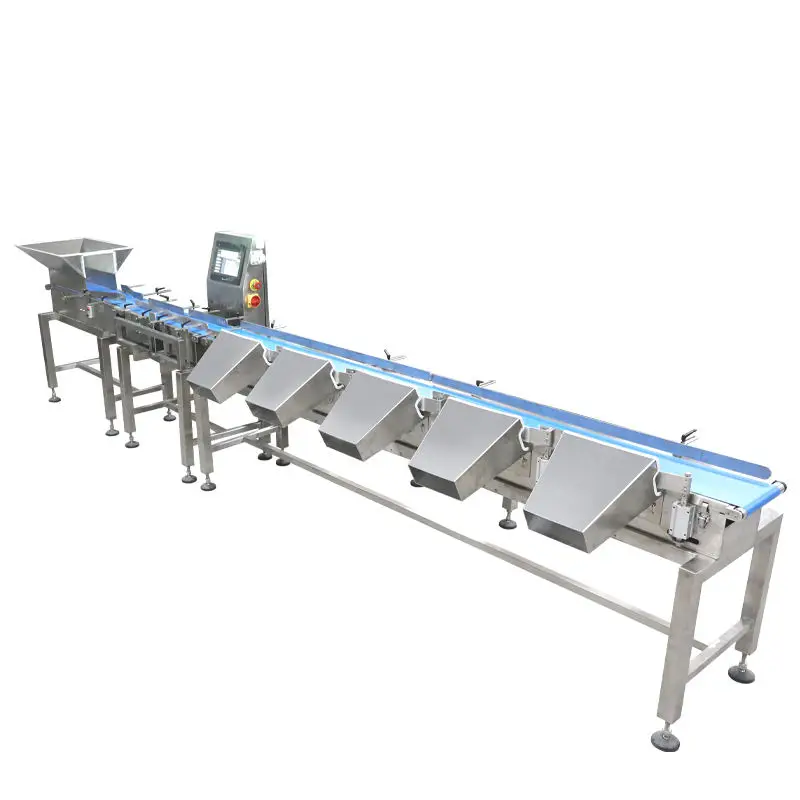 Touch Screen Automatic Conveyor Belts Checkweigher Machine with Multi Weight Sorting Grading