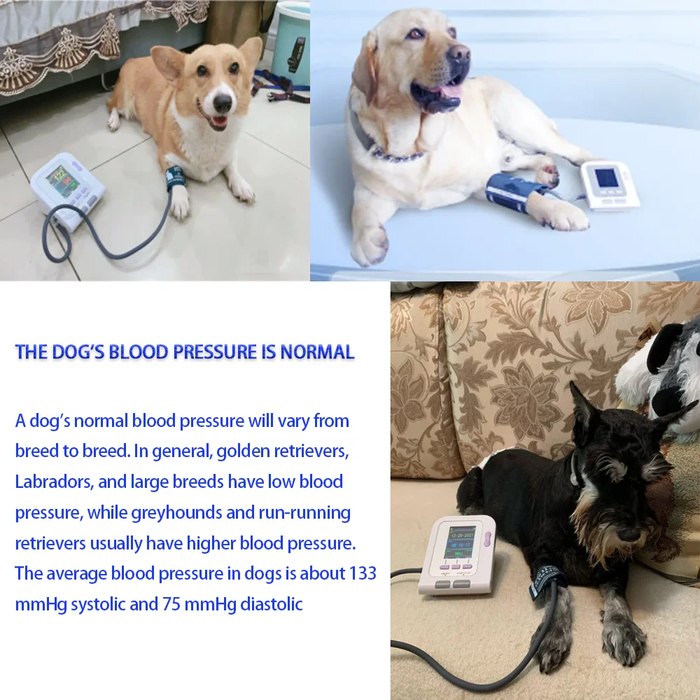 Dog/Cat/Pets CONTEC08A-VET, Blood Pressure Monitor, Digital Veterinary  Blood Pressure Monitor NIBP cuff EU Plug and US PLUG