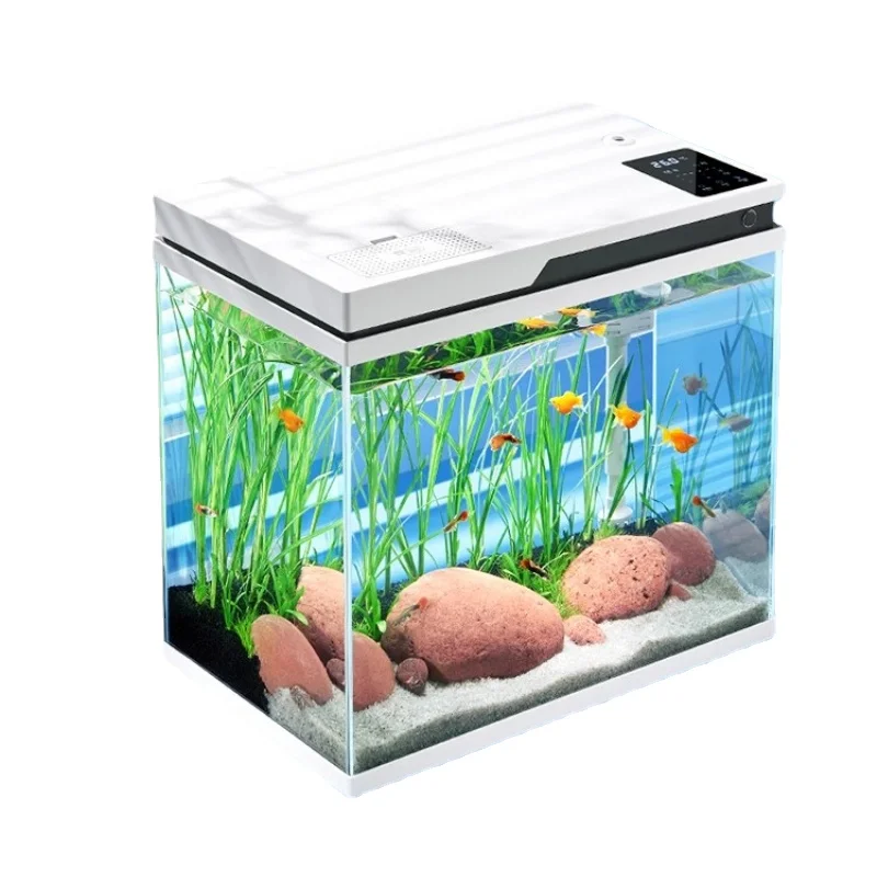 Ultra white glass fish tank with self circulation and no need for water change