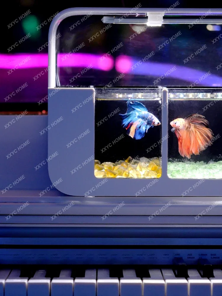 Betta Tank Combination Row Cylinder Multi-Grid Moonlight Douyu Integrated Desktop Creativity Home Lazy Ecological Pot