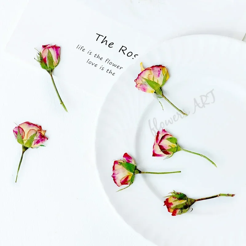 Pressed rose Bud flower core dry flower DIY plant photo frame handmade Epoxy aromatherapy bookmark drip glue phone case,12pcs