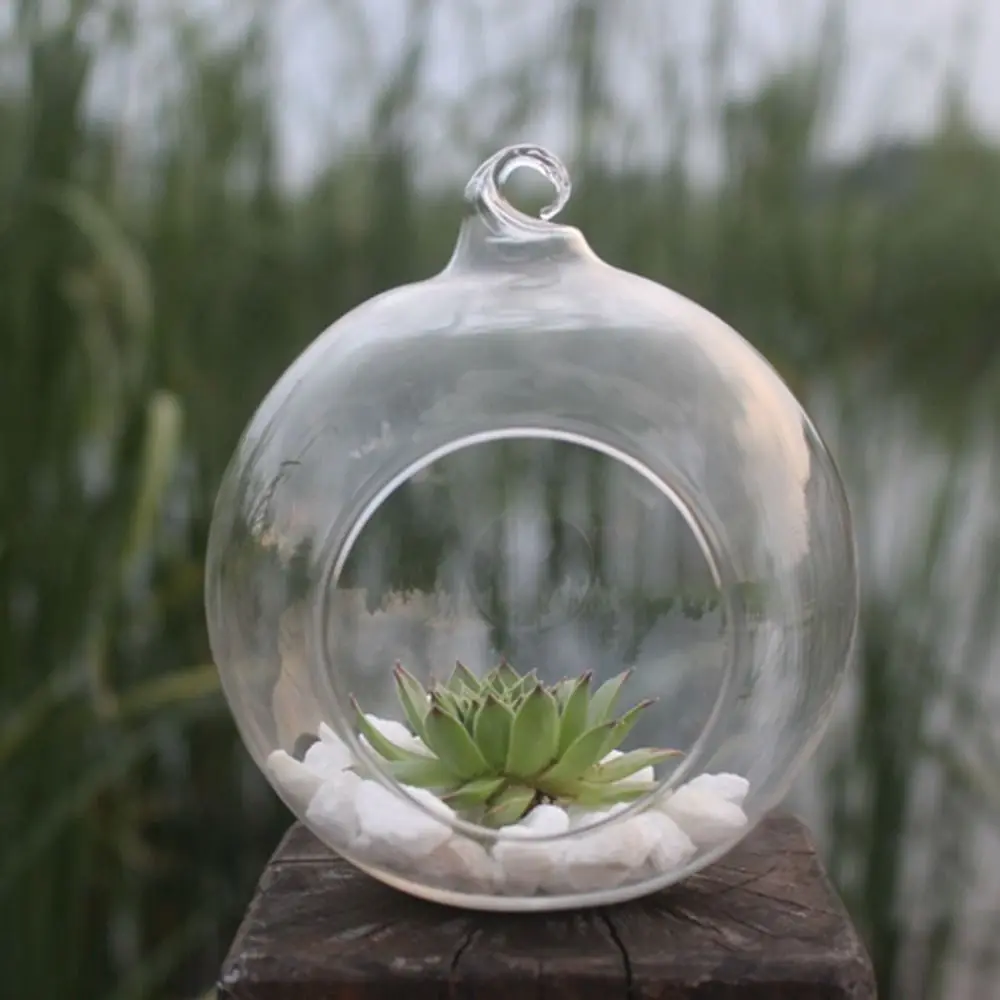 Transparent Hanging Glass Vases Ball Borosilicate Glass Hanging Tealight Holder 6/8/10/12/15cm Clear Glass Planter Moss