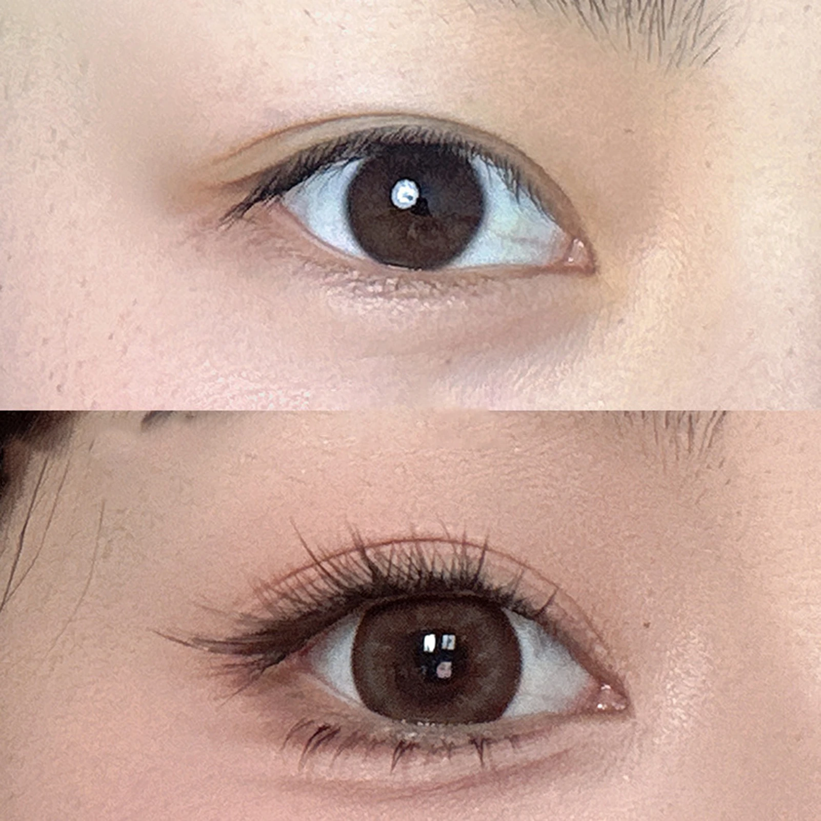 Black Tea Brown False Eyelashes Extension Soft Curly Realistic Natural Charming Cosplay Lashes for Women Girls Daily Party Use