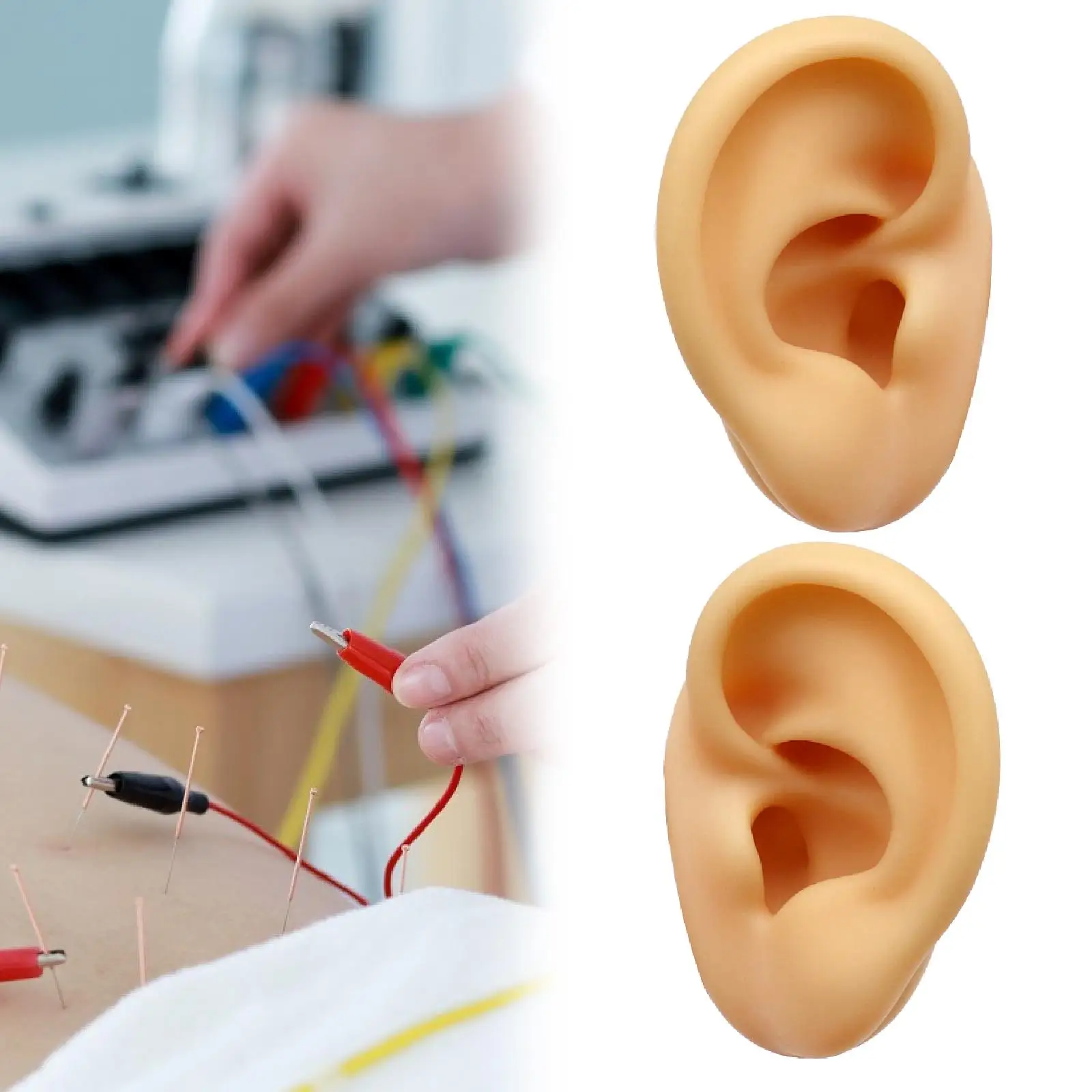

Silicone Ear Model Simulation Piercing Practice Reusable Flexible Fake Ear for Earrings Display for Shows Vendors for Women