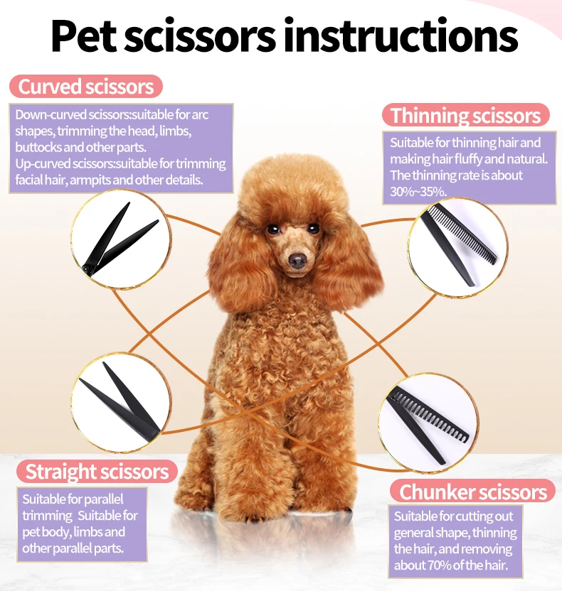 Fenice Professional Schwarz und Gold zweifarbige Hunde pflege Schere für kleine Hunde gerade gebogene Ausdünnung schere – Detail 3