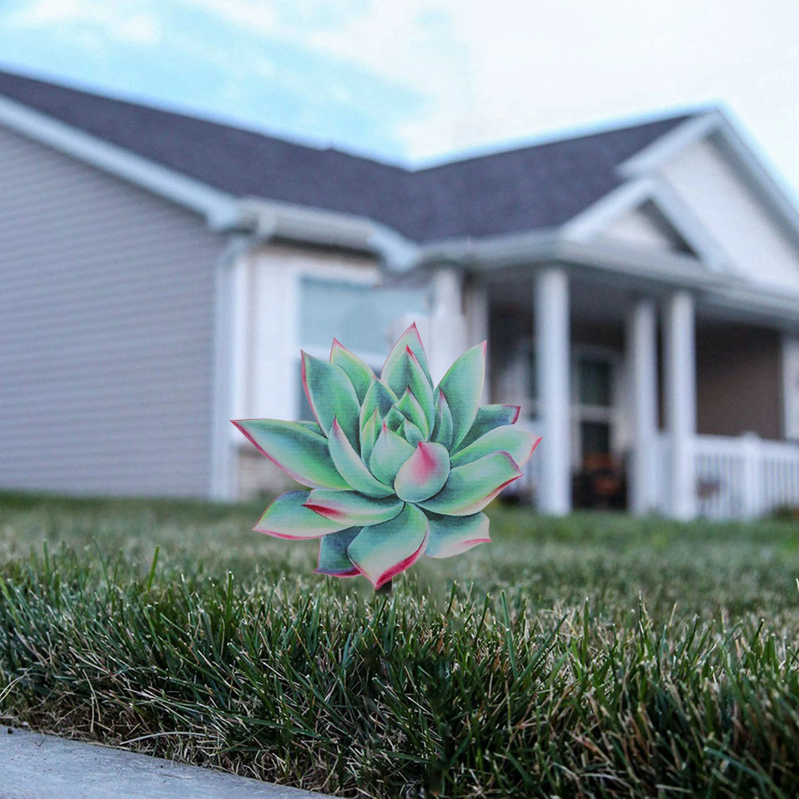 

Acrylic Succulent Stake Garden Lawn Yard Decorations Outdoor Plant-Shaped Signs Durable Sturdy Insert Markers For Garden