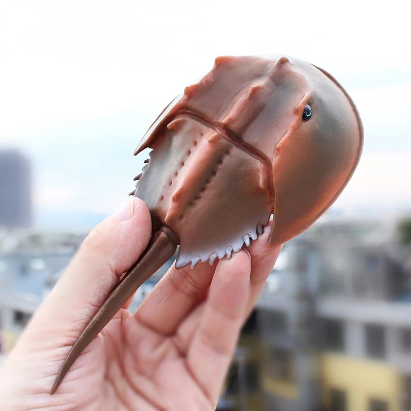 สัตว์ทะเล Horseshoe Crab Figurine - โมเดลพลาสติกอะนิเมะตัวเลข - ของเล่นเพื่อการศึกษาแสนสนุกสําหรับเด็กชาย เด็กหญิง และเด็กอายุ 3 ปีขึ้นไป