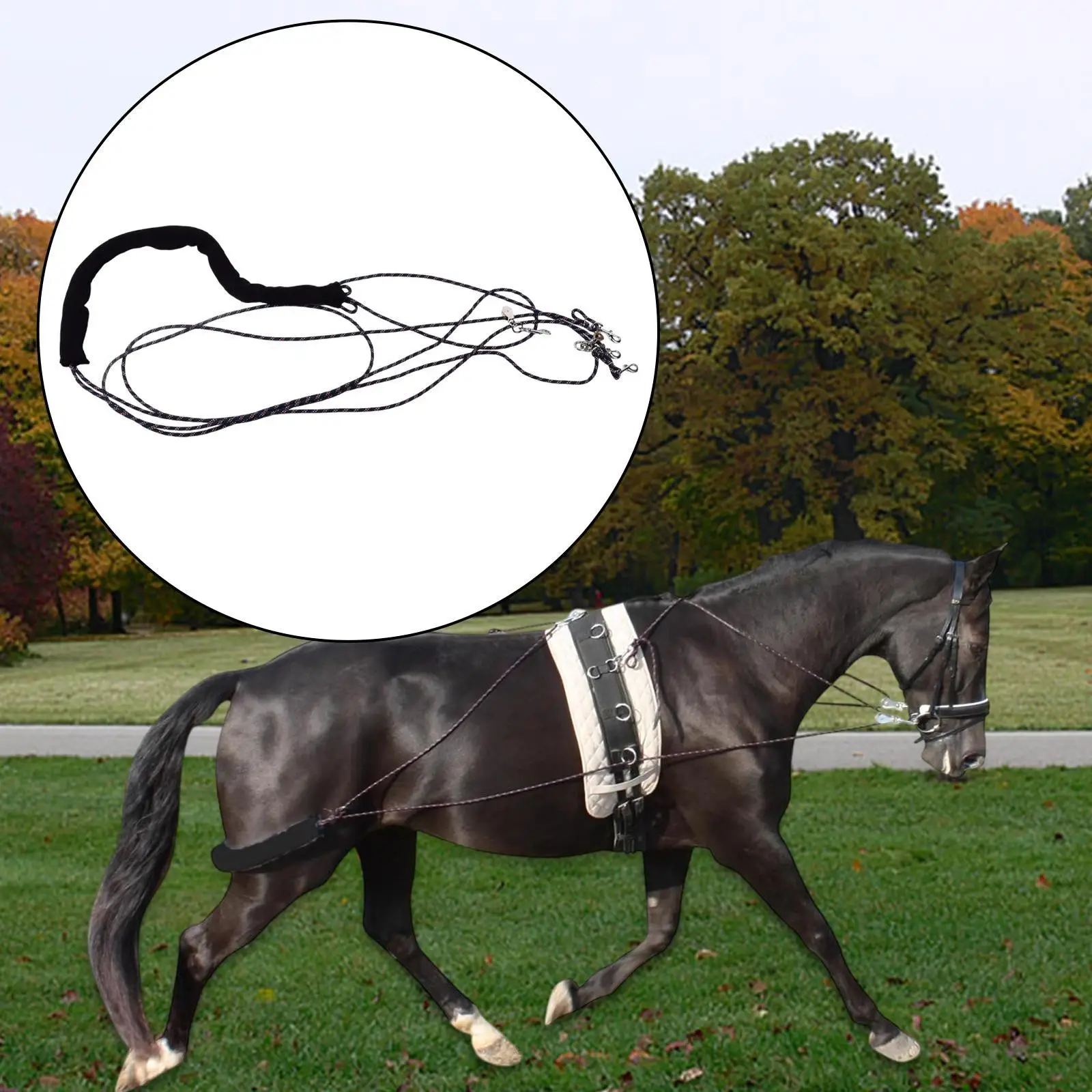 systeme-d'aide-au-saut-des-chevaux-corde-reglable-pour-entrainements-fitness-poney-cob