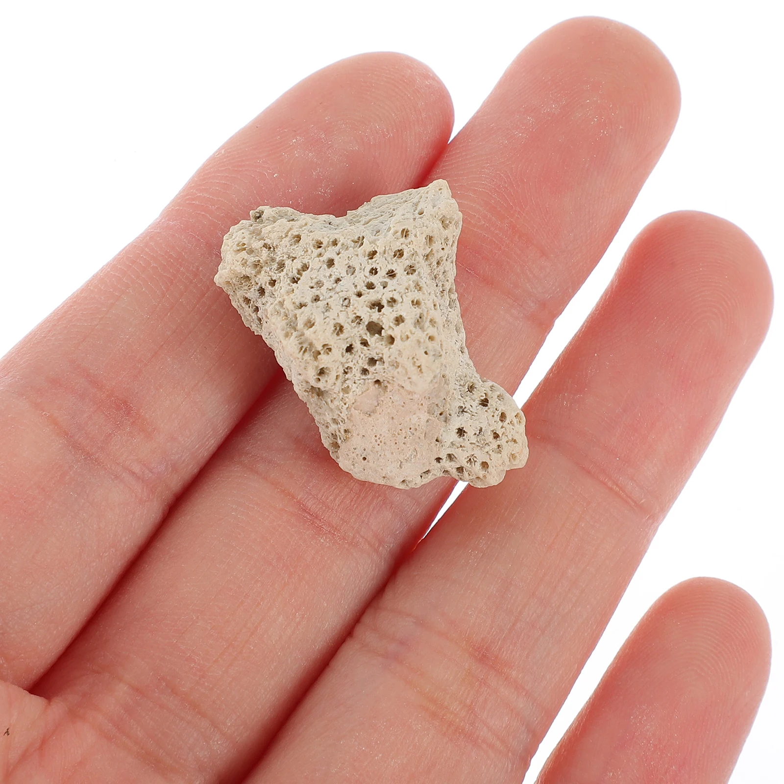 

Crushed Coral Stones 1lb 0.5 3cm Aquarium Fish Tank Decorations Filter Media Purify Water Landscaping Pet Supplies