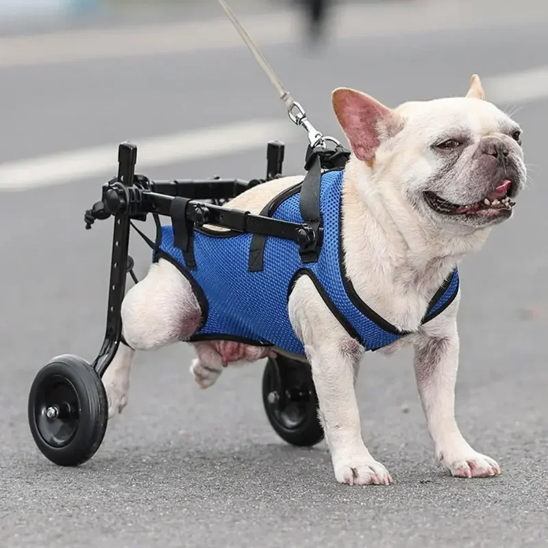 

Adjustable Hind Leg Disabled Pet Dog Mobility Aid Light Rehabilitation Legs Pet Wheelchair Walk Trolley Tools