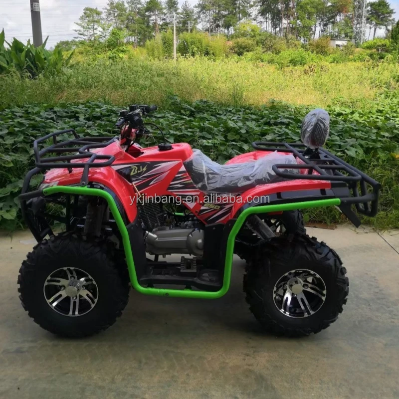 250cc Single Cylinder Automatic Chain Drive 4 Wheeler CVT ATV
