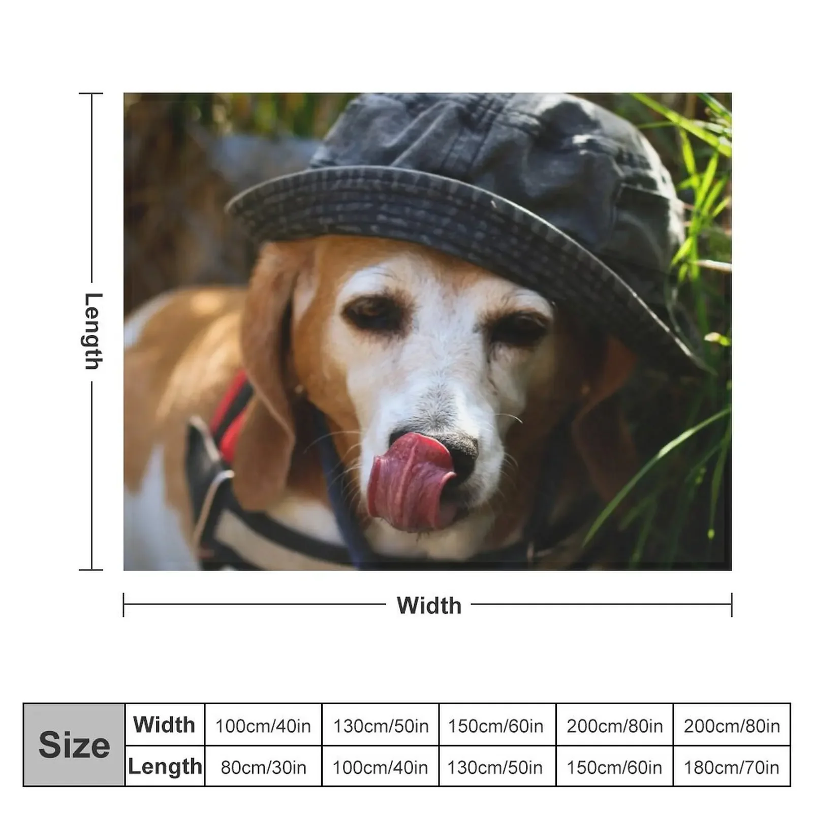 beagle Throw Blanket For Sofa Thin warm for winter Shaggy Winter beds Blankets