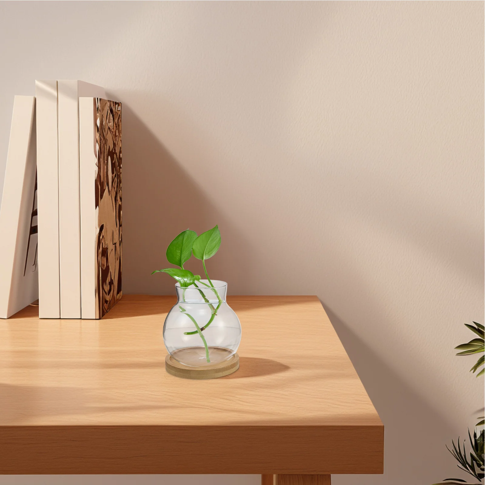 

2Sets Hydroponic Glass Plant Propagation Vase with Bamboo Tray Desktop Terrarium Bulb Vase for Home Office Glass Flower Pot
