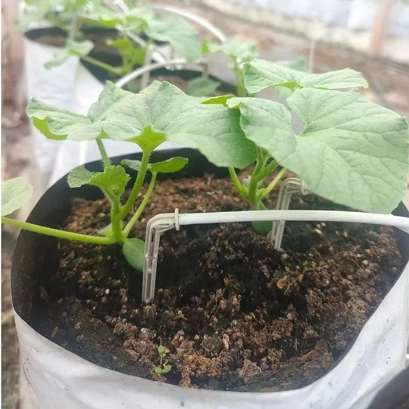 Blueberry Drip Emitter Kit, Grey & White Curved Straight Arrow Dripper Plastic Irrigation Fittings for Greenhouse Nursery Plant