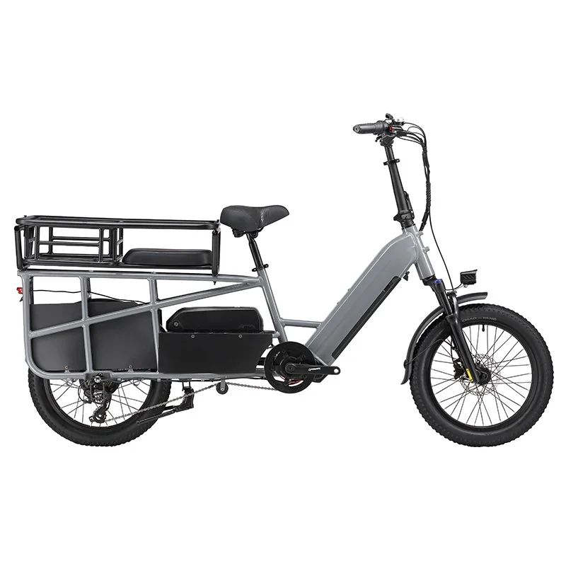 2 Wheels Electric Cargo Bike 48V 750W Hydraulic Disc Brakes 20*4.0 Inch Fatbike China Factory Ebike Max Loading 300kg For Adult