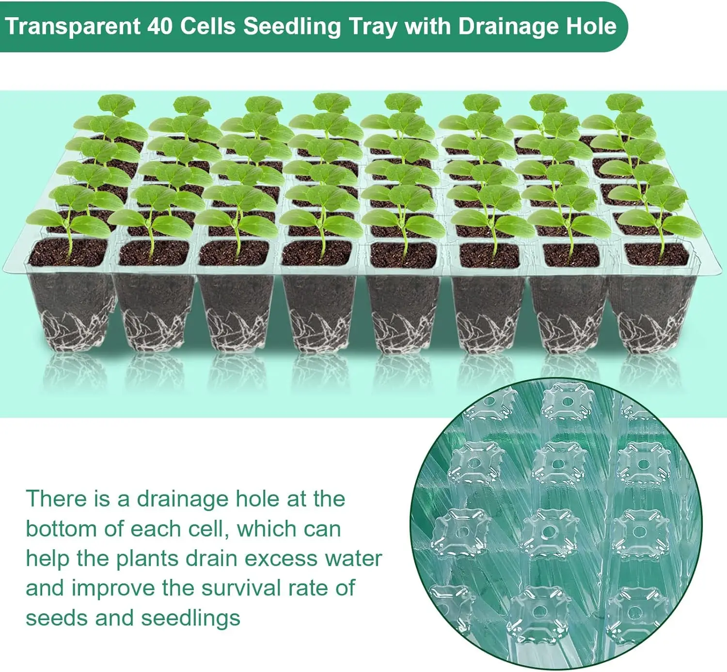 6個入り 240セル 植物育成トレイ 透明な蓋付き 室内苗温室 育苗ポット 種まきトレイ