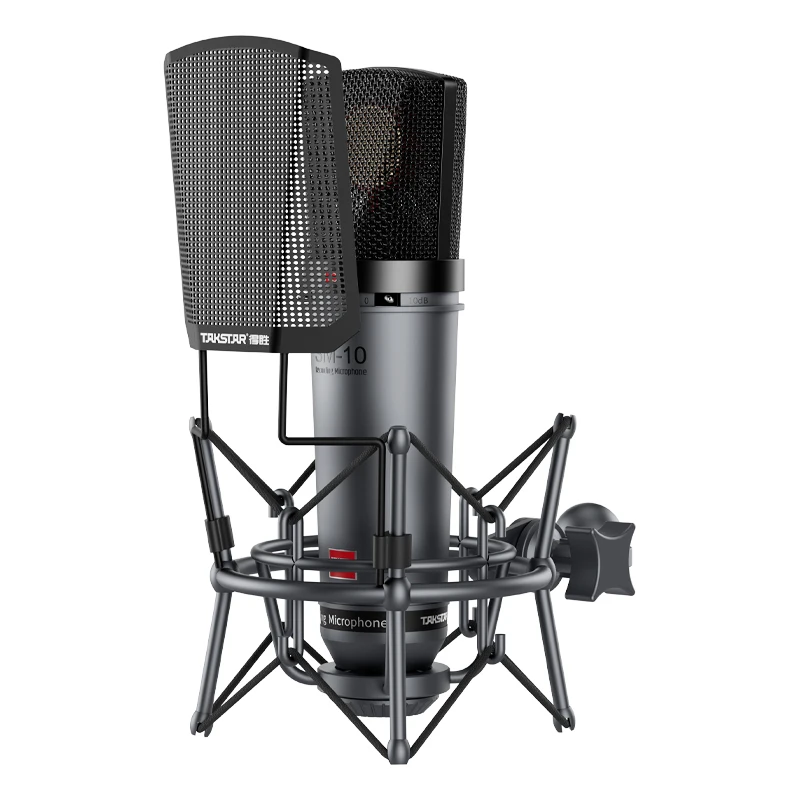 Takstar SM-10 Professional Recording Microphone Home Studio Voice Recording Equipment Condenser Microphones Wired XLR Mic