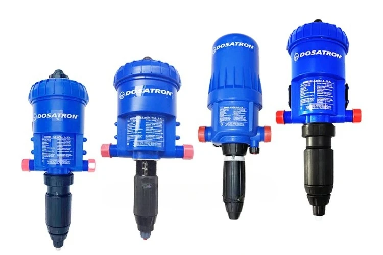 Yyc Pig And Chicken…