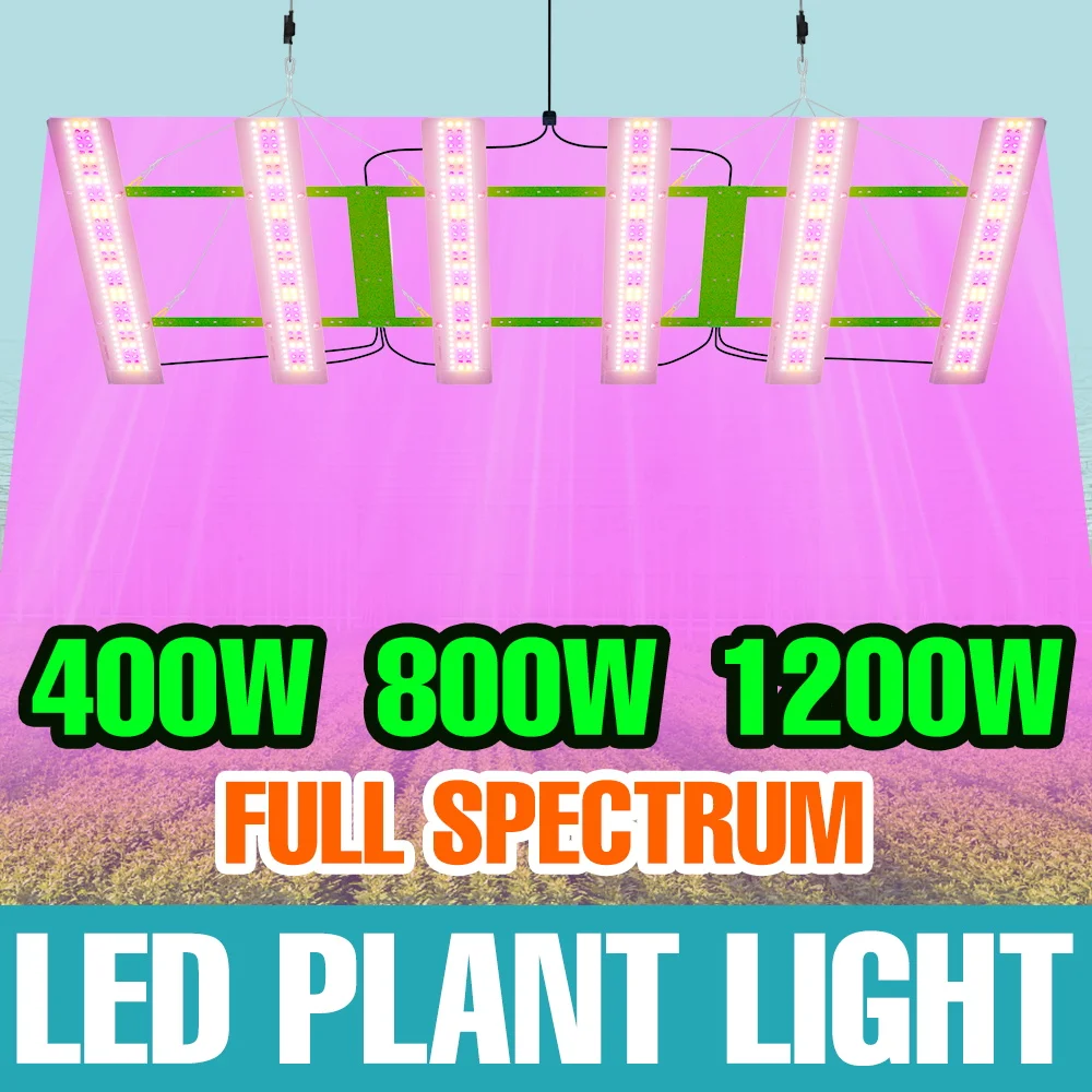 

1200W LED Plant Grow Light Full Spectrum 220V Quantum Board Seedings Cultivation Lamp Greenhouse Tent Fruit Vegs Fill Lighting