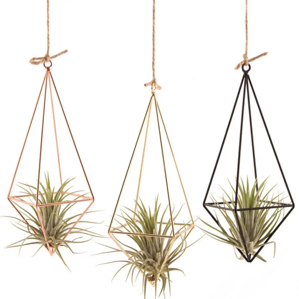 Hollow Flowerpot Propagation Stations Glass Hanging Geometric Plant Iron Stand Air Plant Holder Wedding Home Dinning Room Decor