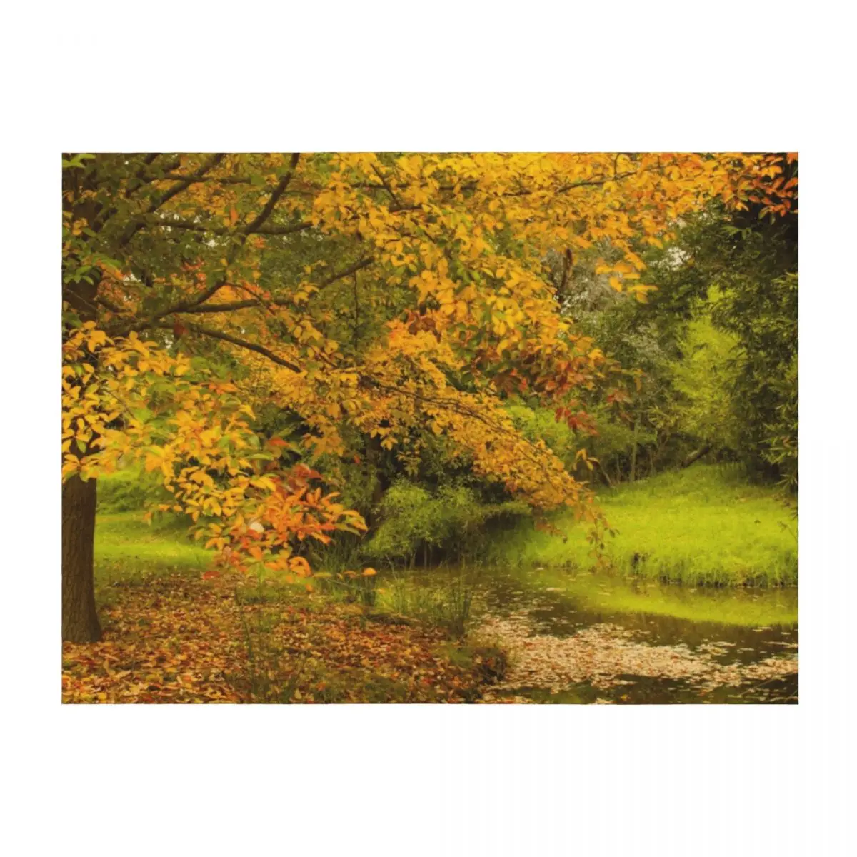 

Autumn leaf colours on trees Throw Blanket christmas gifts Custom Blankets Sofas Of Decoration manga Blankets