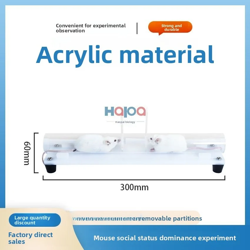Lab-Grade Clear Acrylic Mouse Tube Dominance Test Apparatus - 30cm Length, 3.0-3.5cm Inner Diameter, Social Hierarchy Assessment