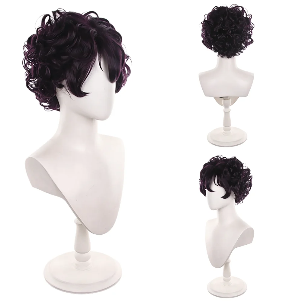 Short Curly Black Purple Cosplay Wig Natural Fluffy Heat Resistant Synthetic Hair Anime Agott Wigs For Men Women Party Daily Use