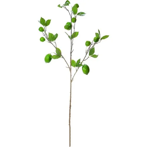 Gardenonya Decorative Artificial Lemon Branch Green Artificial Flower