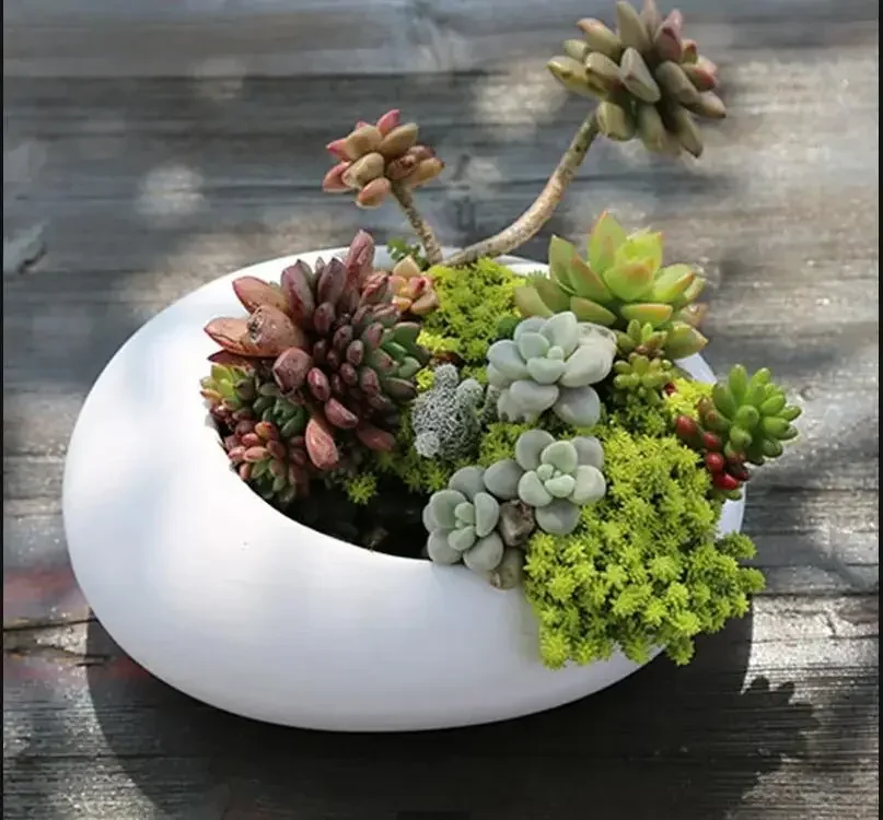 Oval Ceramic Succulent Pot Garden Supplies Balcony Flowerpot Plant Pot Garden Pots Planters Landscaping Potted Plant Flower Pots