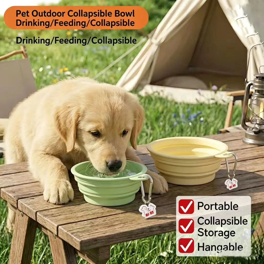 2pcs Pet Collapsible Silicone Bowl, Portable Outdoor Water & Food Bowl for Dogs and Cats