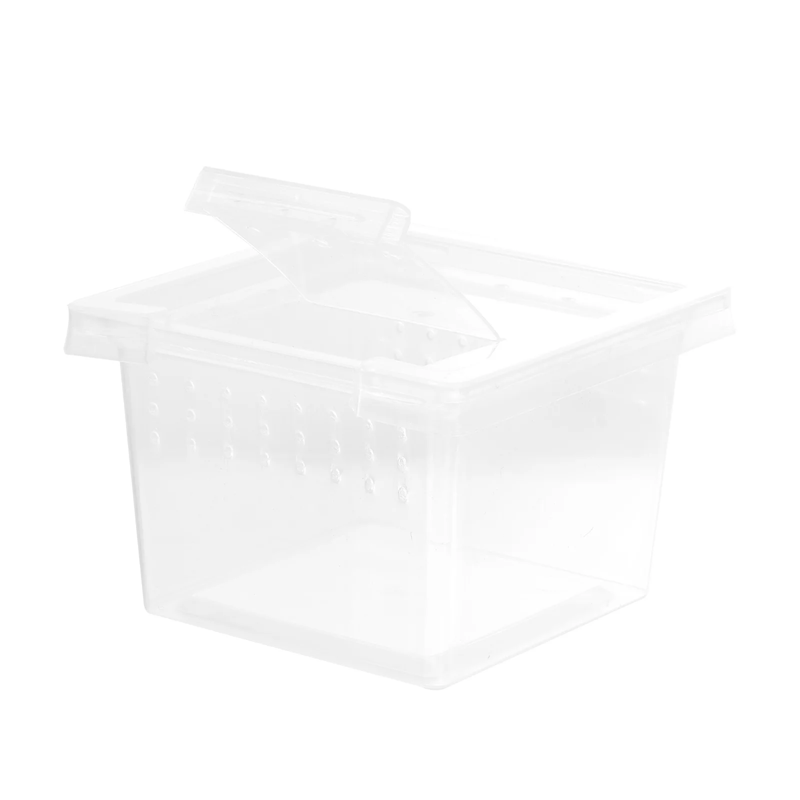 

Insect Feeding Plastic Reptile Breeding Container For Turtle Spider Snake Scorpion Hermit Crab Pet Display
