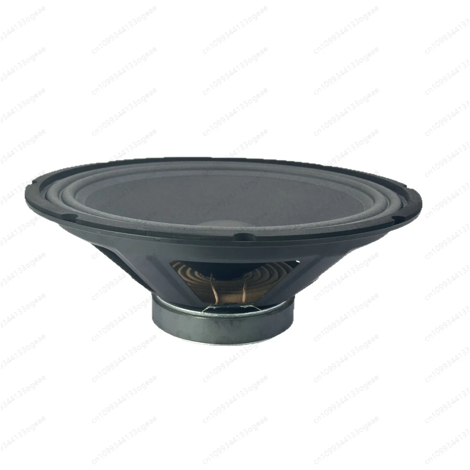 12-Inch Full-Range …