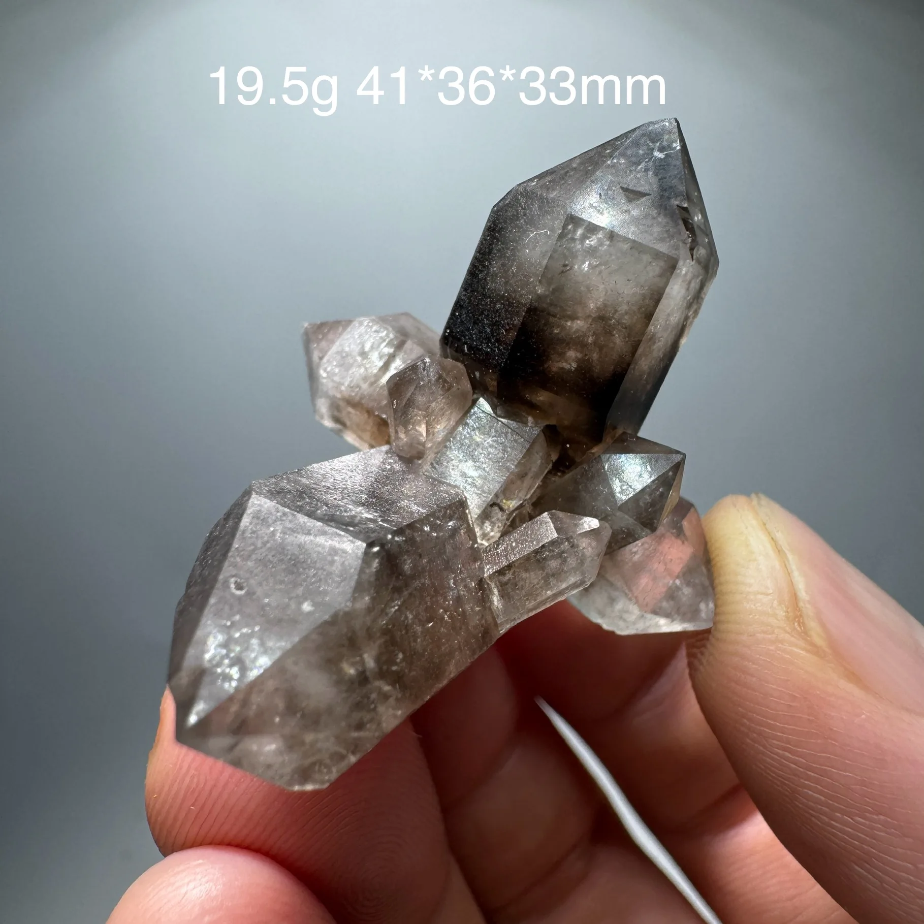 19g Natural GuiZhou Double Pointed Herkimer Diamond Smoky Quartz Crystal Cluster Mineral Specimen video for details