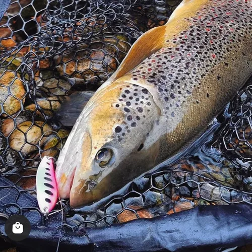 Imagen 2 del producto Cebo de Pesca de perchtrucha de salmón, señuelo de Pesca de 5 piezas, 2,2g/2,6g/4,5g, cuchara de Metal, Wobbler, accesorios de aparejos de Pesca Jigging