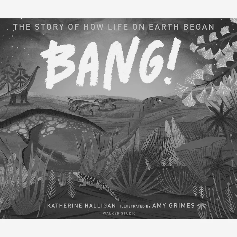 BANG The Story Of How Life On Earth Began Katherine Halligan Walker UK 9781406395129 Book