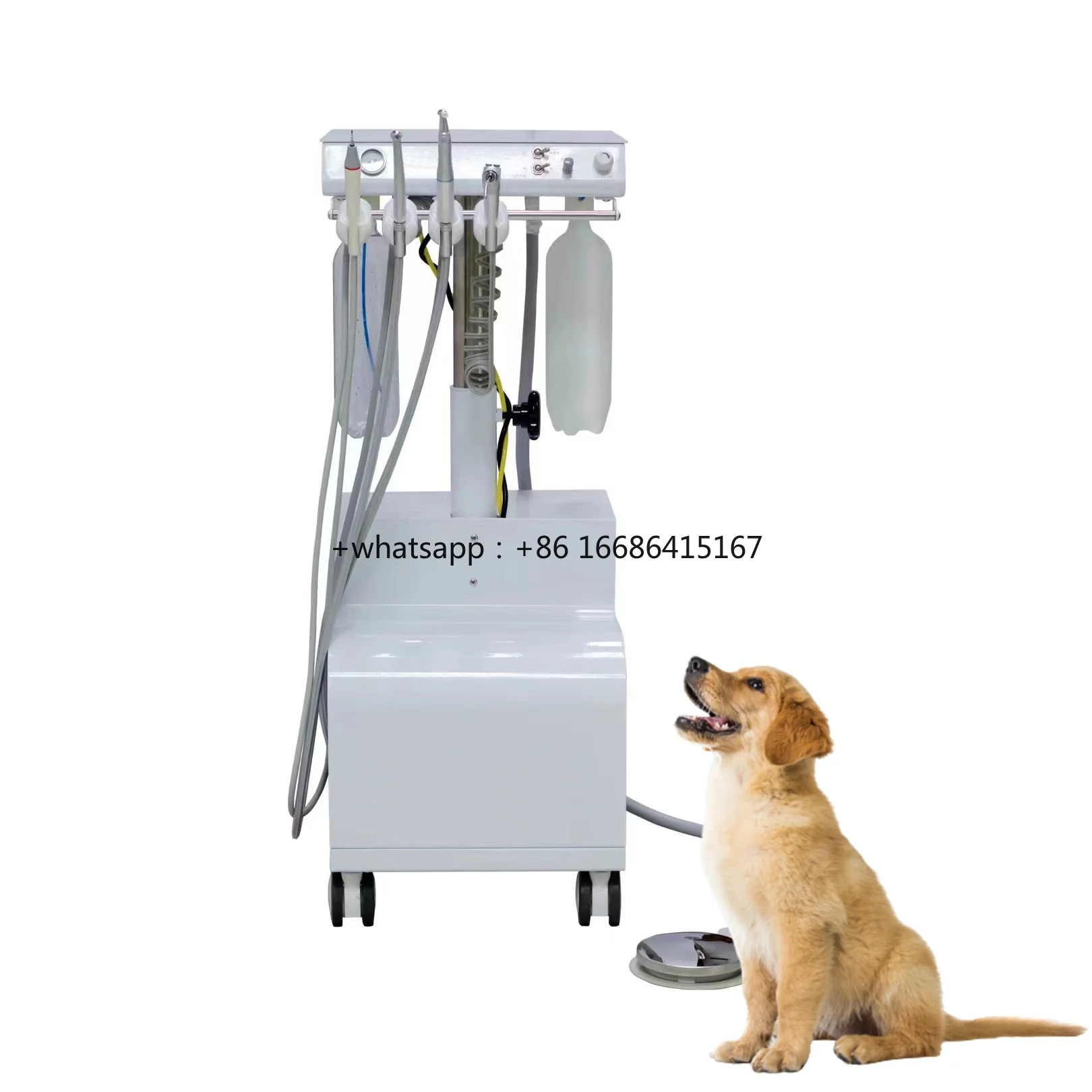Skillful Manufacture Veterinary Endo Instruments Movable Units Portable Turbine Unit