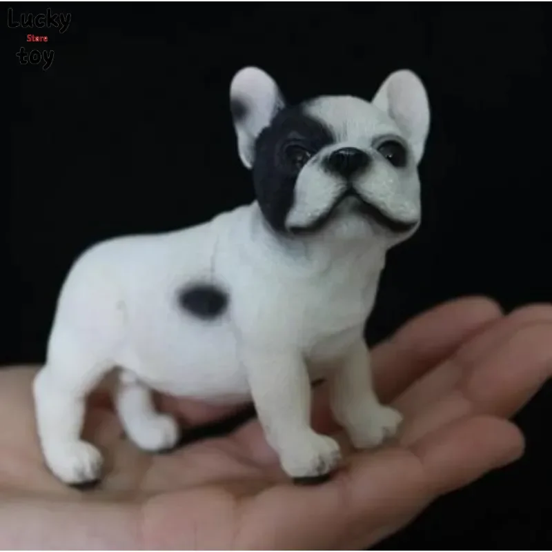 

1/6 Scale French Bulldog Model for 12inch Soldier Action Figures Accessory Resin Pet Toy Handicrafts
