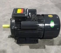Factory Hot Sale Industry Engine 220V Single Phase Electric Motor With Copper Hot sales