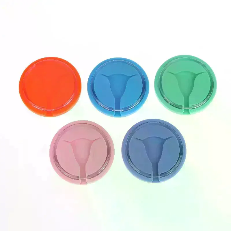 Training Model Y Shape Inside Female Intrauterine Contraceptive Device For Teaching Clinic Display IUD Intrauterine Model IUD